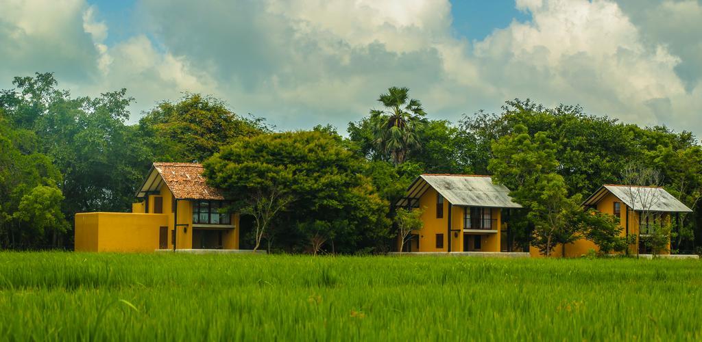 Mankada Resort Anuradhapura Exterior photo